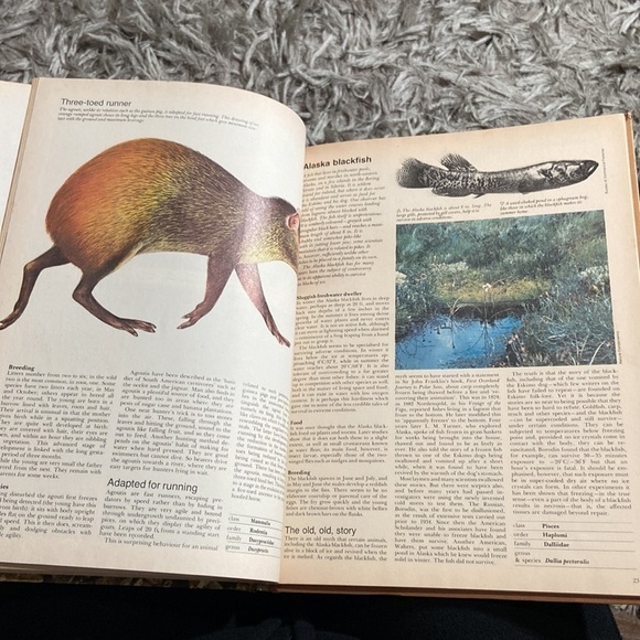 Vintage Funk and Wagnalls Wildlife Encyclopedia 1 hardback - Picture 6 of 10
